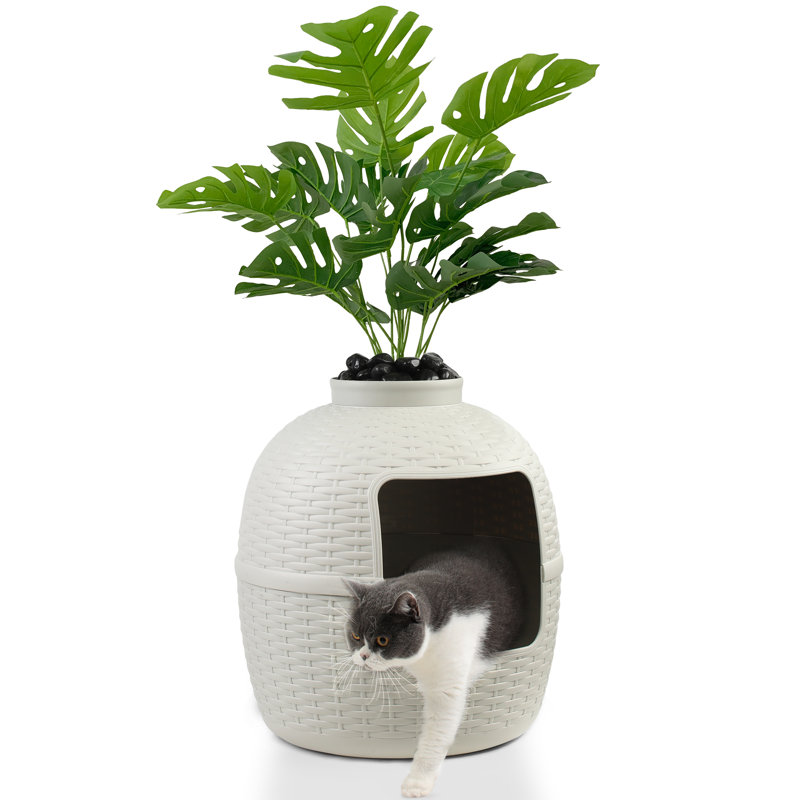 Decorative litter box hotsell